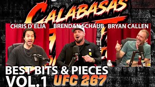 Best Of Calabasas Fight Companion UFC 267  Chris DElia Brendan Schaub amp Bryan Callen Vol 1 [upl. by Eniamurt]