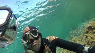 Pescasub Sardegna agguato alla spigola in mezzo metro fishing spearfishing mare spigola [upl. by Haeel]