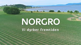 Norgro  Løk [upl. by Elbon723]