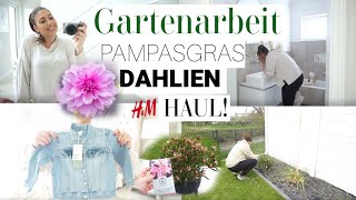 HampM Haul  GARTENARBEIT  Pampasgras schneiden  Dahlien einpflanzen  MAYRA JOANN [upl. by Pavyer]