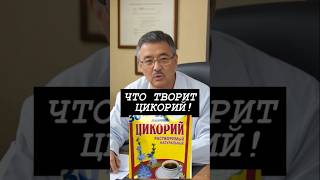 ЧУДО ЦИКОРИЙ ТВОРИТ ТАКОЕ  ВЫ НЕ ПРЕДСТАВЛЯЕТЕ [upl. by Fonville817]