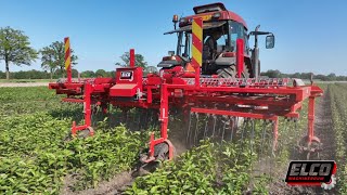 Elco aangedreven wiedeg driebeds met bodemvolg systeem  Moving tine harrow ground following system [upl. by Cherie]