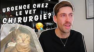 Louis va avoir une chirurgie Rendezvous durgence chez le vet [upl. by Ranit196]