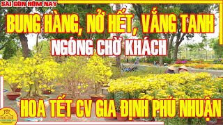 HOA Tết Sài Gòn 2024 BUNG HÀNG NỞ HẾT VẮNG TANH 27 Tết  Chợ Hoa CV GIA ĐỊNH Sài Gòn Hôm Nay [upl. by Enened671]