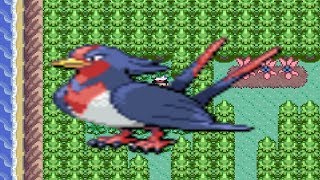 How to find Swellow in Pokemon Ruby and Sapphire [upl. by Zosema481]