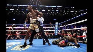 Deontay Wilder All Knockouts 390 [upl. by Groeg]