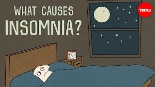 What causes insomnia  Dan Kwartler [upl. by Ibrik]