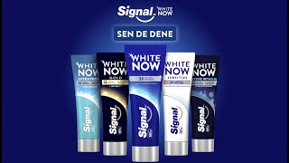 Signal White Now 💙 [upl. by Bui909]