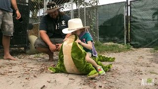 The Cutest Gator Wrestler Ever [upl. by Cooperman611]