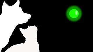 CAT GAMES  GREEN LASER CHASER FOR CATS ONLY [upl. by Onitsuj]