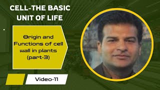 Origin and functions of cell wall in plants Class 11 [upl. by Nyliret238]