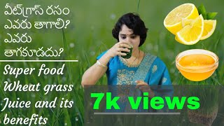 Wheat grass juice preparation and its benefits  In Telugu  By Prasanthi talks [upl. by Maury695]