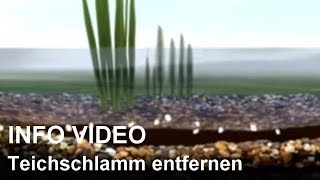 Teichschlamm entfernen mit Teichschlammentferner  Video Teichschlamm beseitigen [upl. by Tucky]