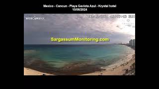 2024 Sargassum Monitoring® Official  UPDATE  Mexico  Cancun [upl. by Spohr]