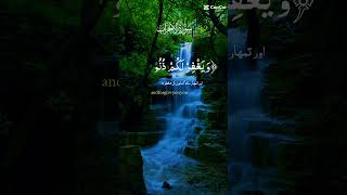 mbc duet surahrahmantarjumakesath islamicscripture bayan [upl. by Rotsen203]