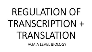 REGULATION OF TRANSCRIPTION amp TRANSLATION  AQA A LEVEL BIOLOGY  EXAM QUESTIONS RUN THROUGH [upl. by Willin]