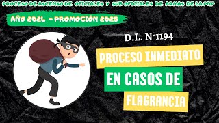 ASCENSO PNP 2024PROMOCION 2025 DL N°1194 REGULA EL PROCESO INMEDIATO EN CASOS DE FLAGRANCIA [upl. by Raines]