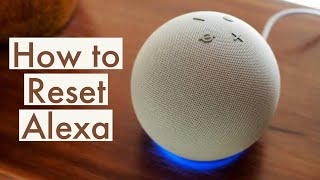 How to Reset Alexa Echo Dot 4th Generation [upl. by Yuhas]