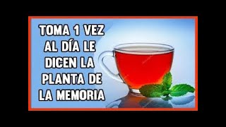 👉Hierbabuena y Limón para la Memoria el Mal Aliento y mucho más [upl. by Decca]