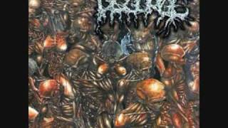 Disgorge Mex  grotesque devourment [upl. by Einrae]