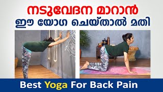 നടുവേദന മാറാൻ ഏറ്റവും നല്ല യോഗ ഇതാണ്  Best Yoga For Back Pain  naduvedana yoga  Dr Akhila Vinod [upl. by Lefkowitz]