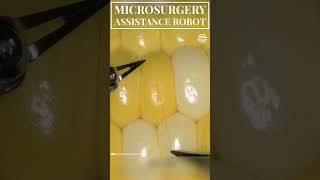 Microsurgery Assistance Robot Suturing a Corn Kernel with Tiny Suture shorts tech robot medical [upl. by Ahsiekim]