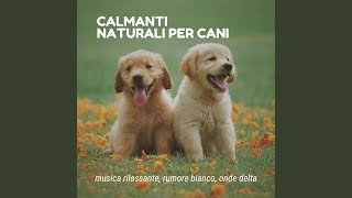 Calmanti naturali per cani [upl. by Alicirp]