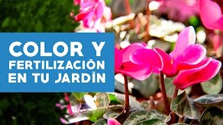 ¿Cómo fertilizar y agregar color al jardín [upl. by Sihon]