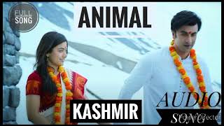 kashmir animal Full song rashmika mandhana ranveer kapoor [upl. by Lavern]