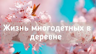 ИЗ ЖАРЫ В МОРОЗ МОЛОКО без антибиотиков ЖИЗНЬ В ДЕРЕВНЕ Многодетная семья [upl. by Eedyah286]