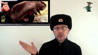 Welcome to Ushanka Show My Stories About Life in the USSR ussr sputnikoff [upl. by Gonzalo]