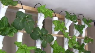 Basement Hydroponic Tower Garden Version 20 [upl. by Oech]