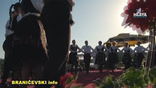 Rakijada Ranovac RTV MLAVA 03082017 [upl. by Iroj]