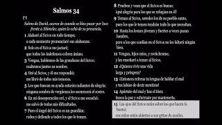 Salmos 34  Biblia Dramatizada NTV [upl. by Dalila838]