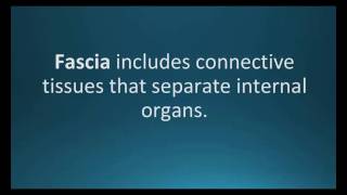 How to pronounce fascia Pharmcabulary for Memorizing Pharmacology Flashcard [upl. by Lesak]