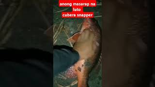 cubera snapper [upl. by Arriat52]