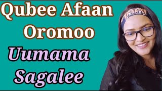 Learn Afan Oromo Qubee Learn Afan Oromo in Amharic Oromo LanguageOromo Kemo Tube [upl. by Ayotol]