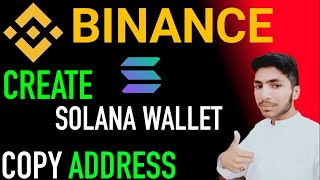 solana wallet create in binance  how to get solana wallet address [upl. by Aivatahs107]