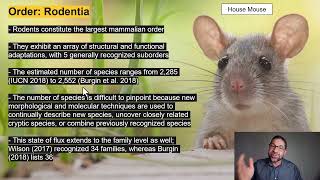 Lecture 52Orders Rodentia and Lagomorpha [upl. by Nileak]