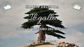 GRAZIA DELEDDA Il gallo da IL CEDRO DEL LIBANO [upl. by Isolde]