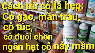 CHNN 88 Cách trị cỏ lá hẹp tiền nảy mầm hiệu quả Dual Gold 960EC  Cty Syngenta SMetolachlor [upl. by Airtal]