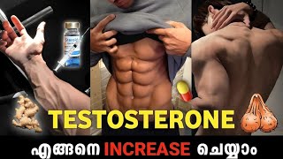 Testosterone 🍆 🧬Level Increase Naturally  Malayalam 🔱🔥 [upl. by Roosevelt676]