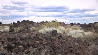 Accessible Adventures Deschutes National Forest [upl. by Aneis]