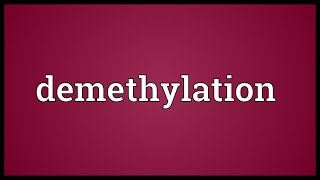 Demethylation Meaning [upl. by Ralyt]