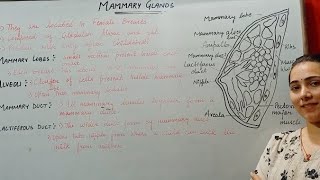 MAMMARY GLANDS HUMAN REPRODUCTION CLASS 12 [upl. by Frankhouse]