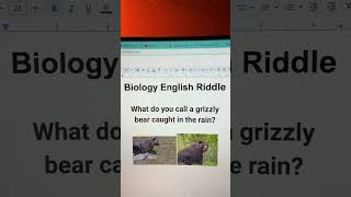 Biology English Riddle What do you call a grizzly bear caught in the rain [upl. by Bailar350]