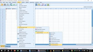 Friedmans Test by Spss [upl. by Onahpets]