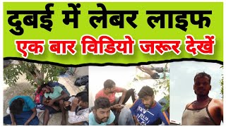 Look at Dubai Labor Life UAE Labor Life How do Indians live in Dubai Dubaijob AshokLLB [upl. by Assiruam]