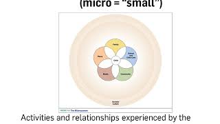 3 1 Bioecological model of human development [upl. by Ahens]