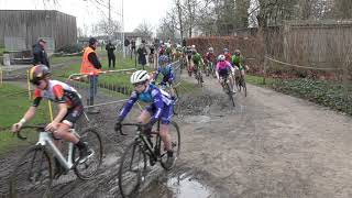 11 2 2024 Loenhout Asp 12 Jaar [upl. by Aseiram642]